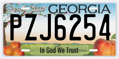 GA license plate PZJ6254