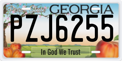 GA license plate PZJ6255