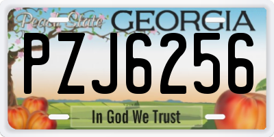 GA license plate PZJ6256