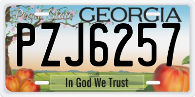 GA license plate PZJ6257