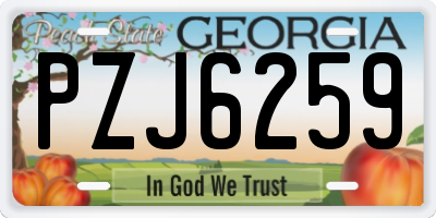 GA license plate PZJ6259