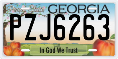 GA license plate PZJ6263