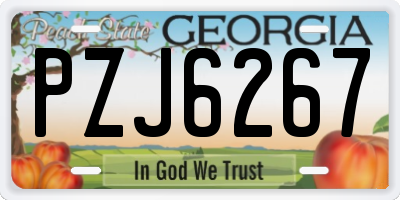 GA license plate PZJ6267