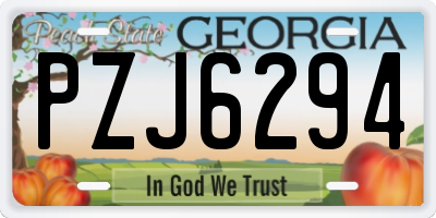 GA license plate PZJ6294