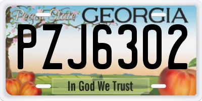 GA license plate PZJ6302