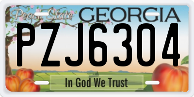 GA license plate PZJ6304