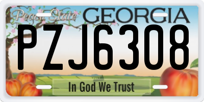 GA license plate PZJ6308