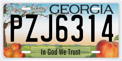 GA license plate PZJ6314