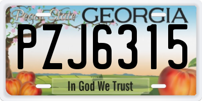 GA license plate PZJ6315