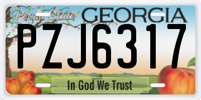 GA license plate PZJ6317