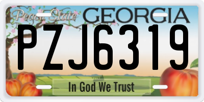 GA license plate PZJ6319
