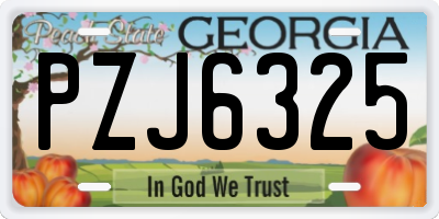 GA license plate PZJ6325