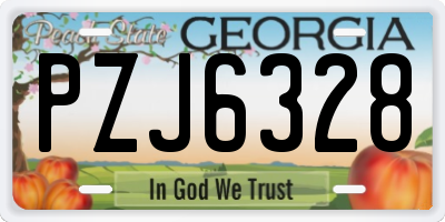 GA license plate PZJ6328