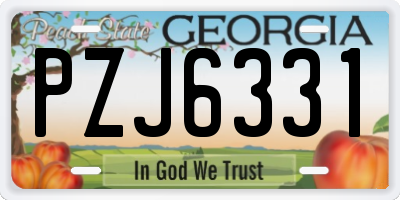 GA license plate PZJ6331