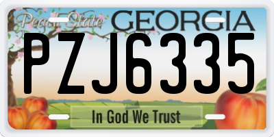 GA license plate PZJ6335