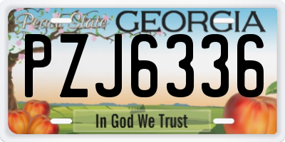 GA license plate PZJ6336