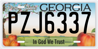 GA license plate PZJ6337