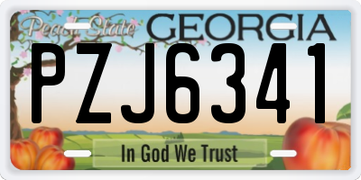 GA license plate PZJ6341