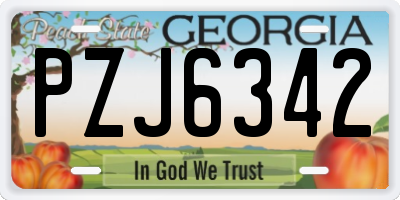 GA license plate PZJ6342