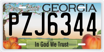 GA license plate PZJ6344