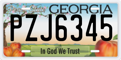 GA license plate PZJ6345