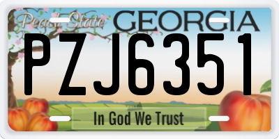 GA license plate PZJ6351