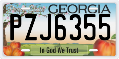 GA license plate PZJ6355