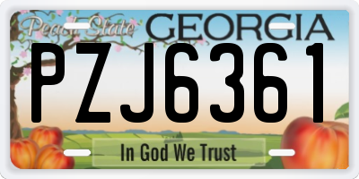 GA license plate PZJ6361