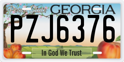 GA license plate PZJ6376