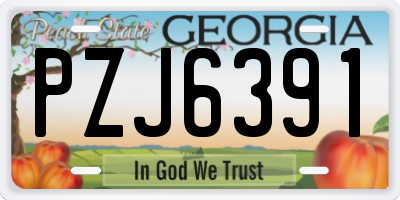 GA license plate PZJ6391