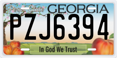 GA license plate PZJ6394