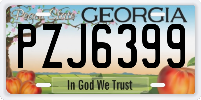 GA license plate PZJ6399