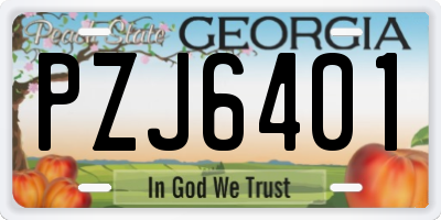 GA license plate PZJ6401