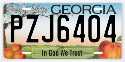 GA license plate PZJ6404