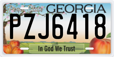 GA license plate PZJ6418