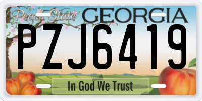 GA license plate PZJ6419