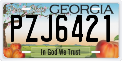 GA license plate PZJ6421