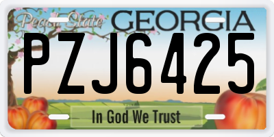 GA license plate PZJ6425