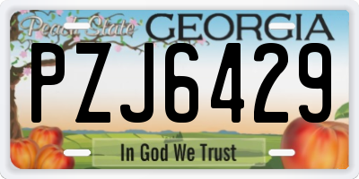 GA license plate PZJ6429