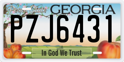 GA license plate PZJ6431