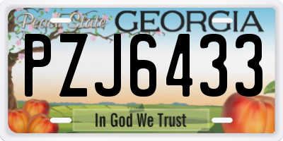 GA license plate PZJ6433