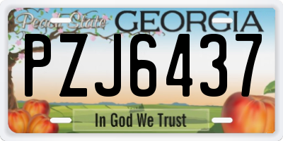 GA license plate PZJ6437
