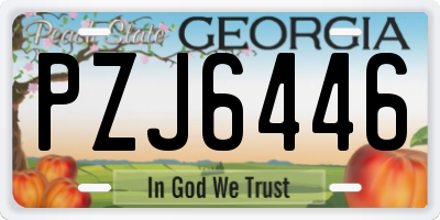 GA license plate PZJ6446
