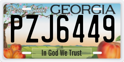 GA license plate PZJ6449