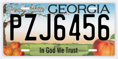 GA license plate PZJ6456