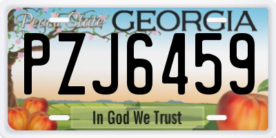 GA license plate PZJ6459
