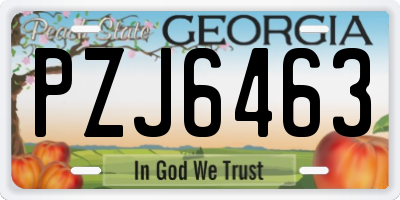 GA license plate PZJ6463