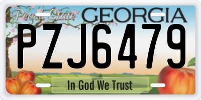 GA license plate PZJ6479