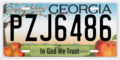 GA license plate PZJ6486