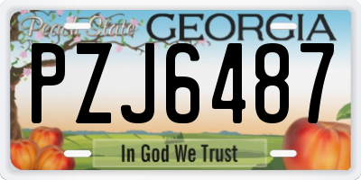 GA license plate PZJ6487